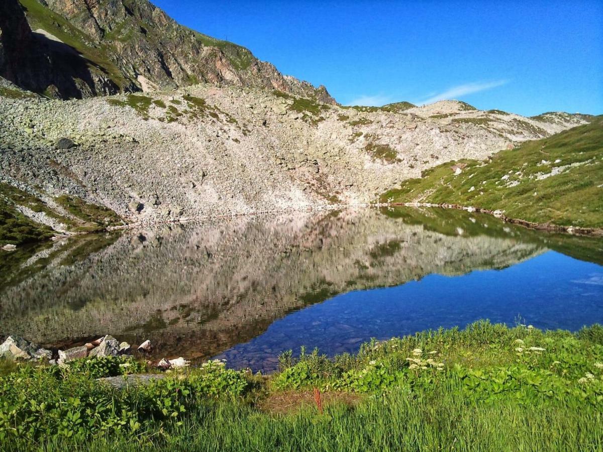 L Edelweiss Et Sa Piscine Lägenhet Albertville Exteriör bild