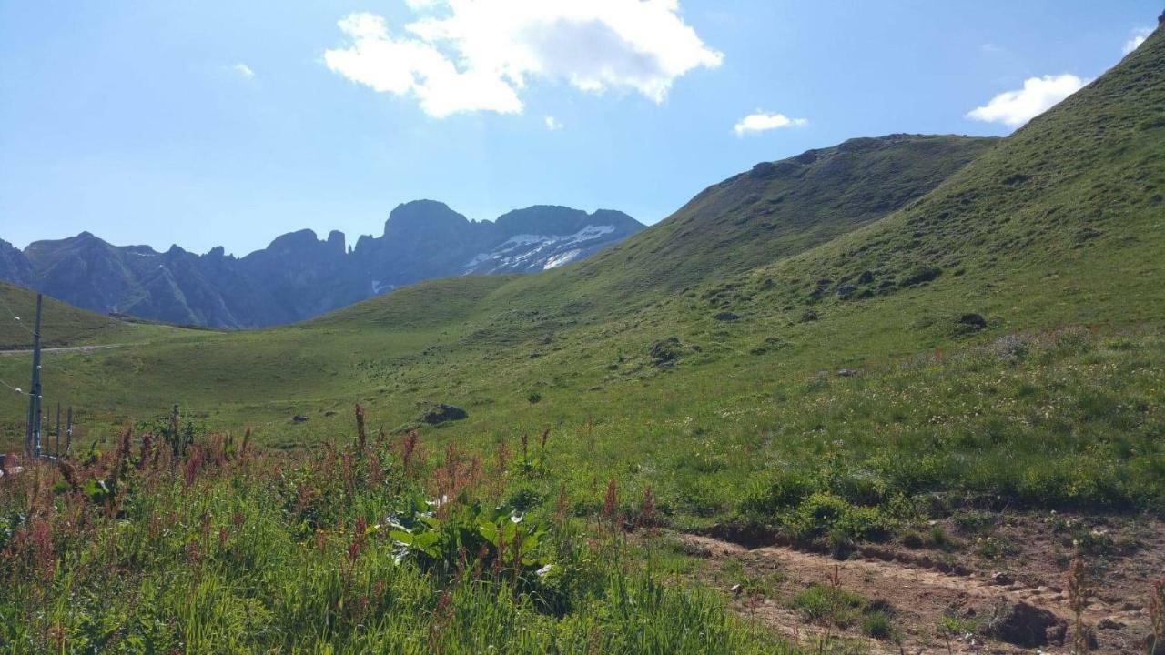 L Edelweiss Et Sa Piscine Lägenhet Albertville Exteriör bild